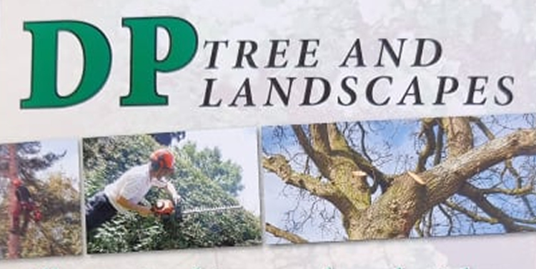 DP Tree & Landscapes — Garden & Landscaping