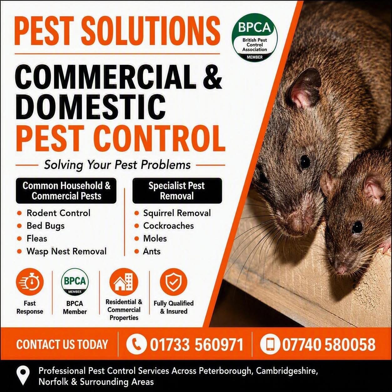 Pest Solutions Peterborough Ltd — Pest Control